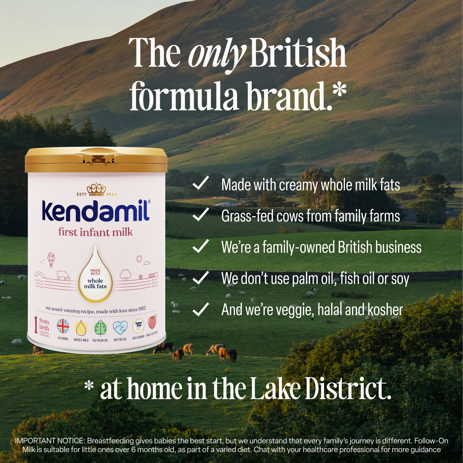 Classic First Infant Milk