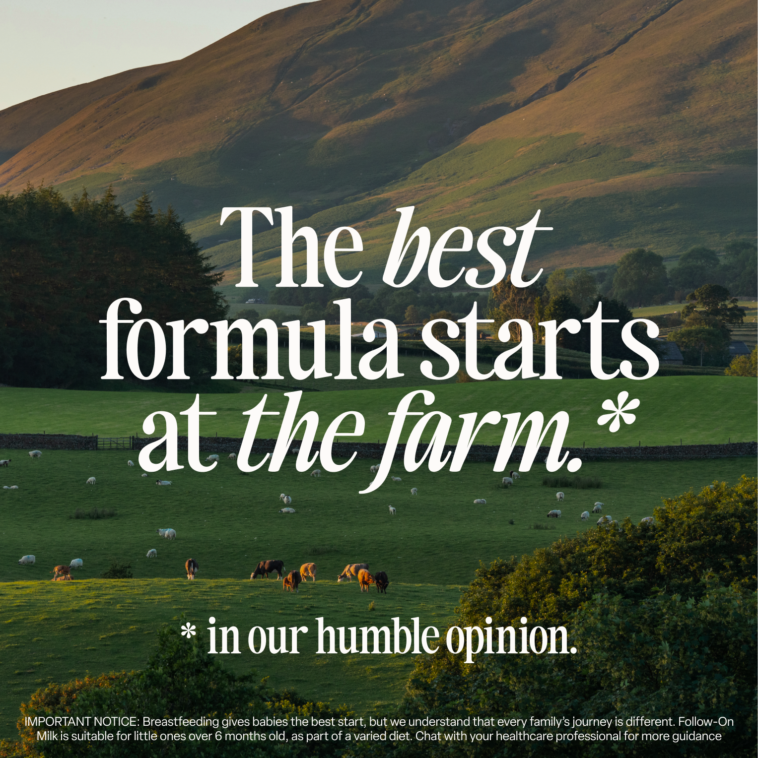 Classic Saver Bundle