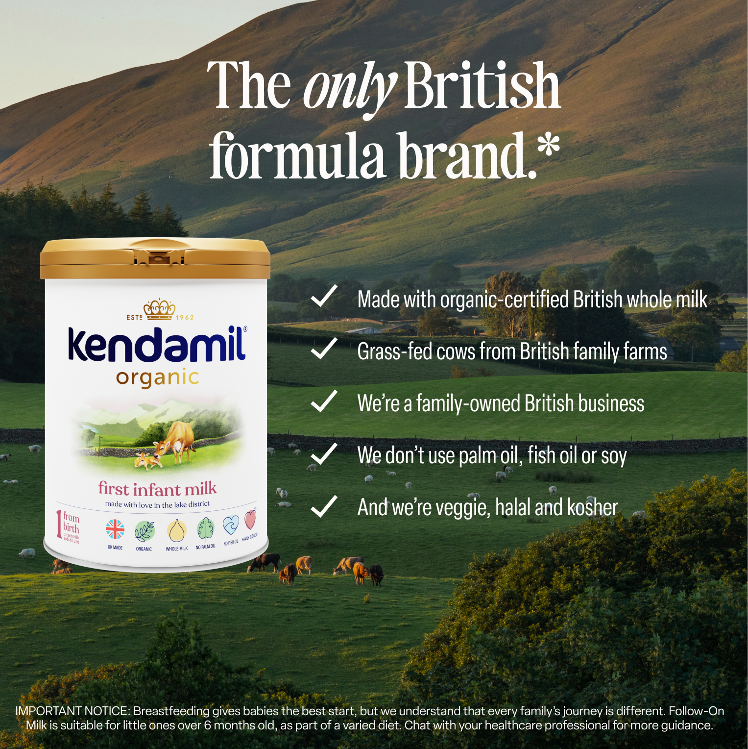 Organic First Infant Milk
