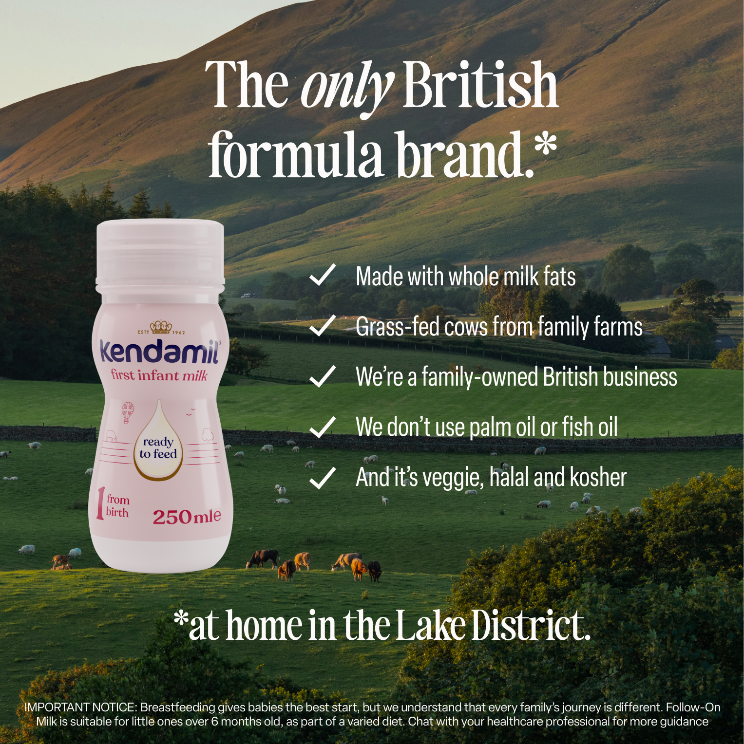18x250ml Classic Ready to Feed