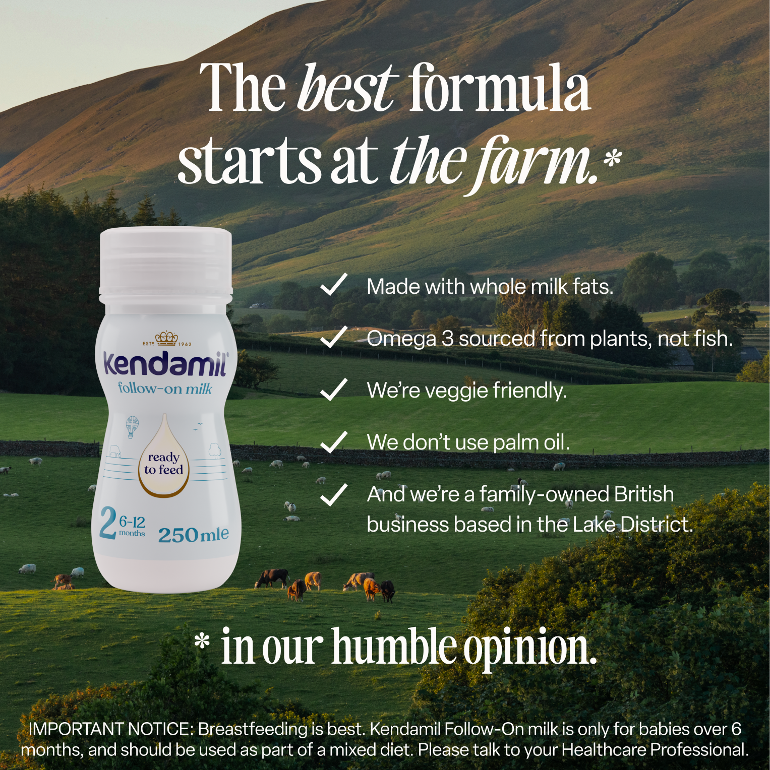 18x250ml Classic Follow-On Ready to Feed