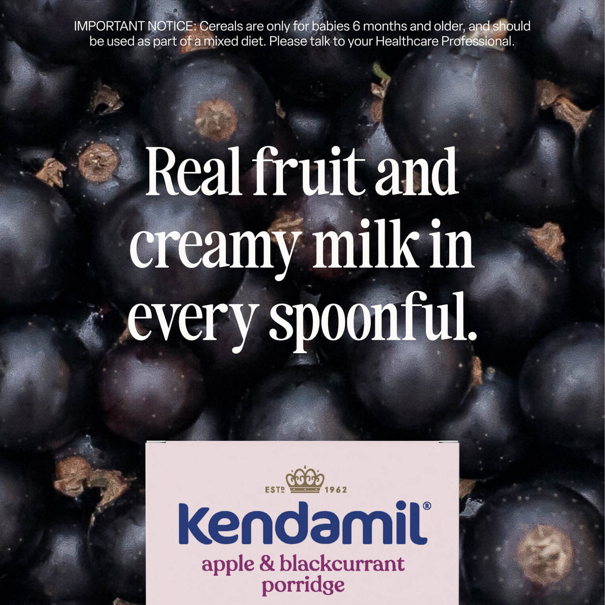 Close-up of blackcurrants in the background with text: Real fruit and creamy milk in every spoonful. A 7-Pack Apple and Blackcurrant Baby Porridge (6+ months) label, made with high quality grains, is shown at the bottom.