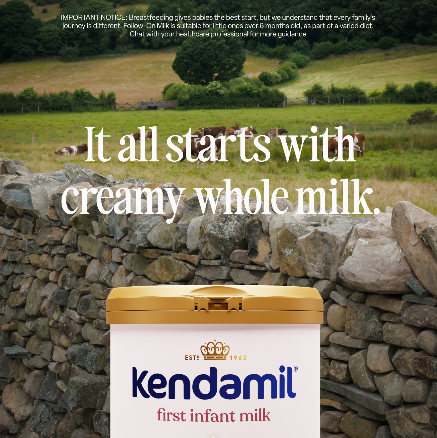 Classic First Infant Milk