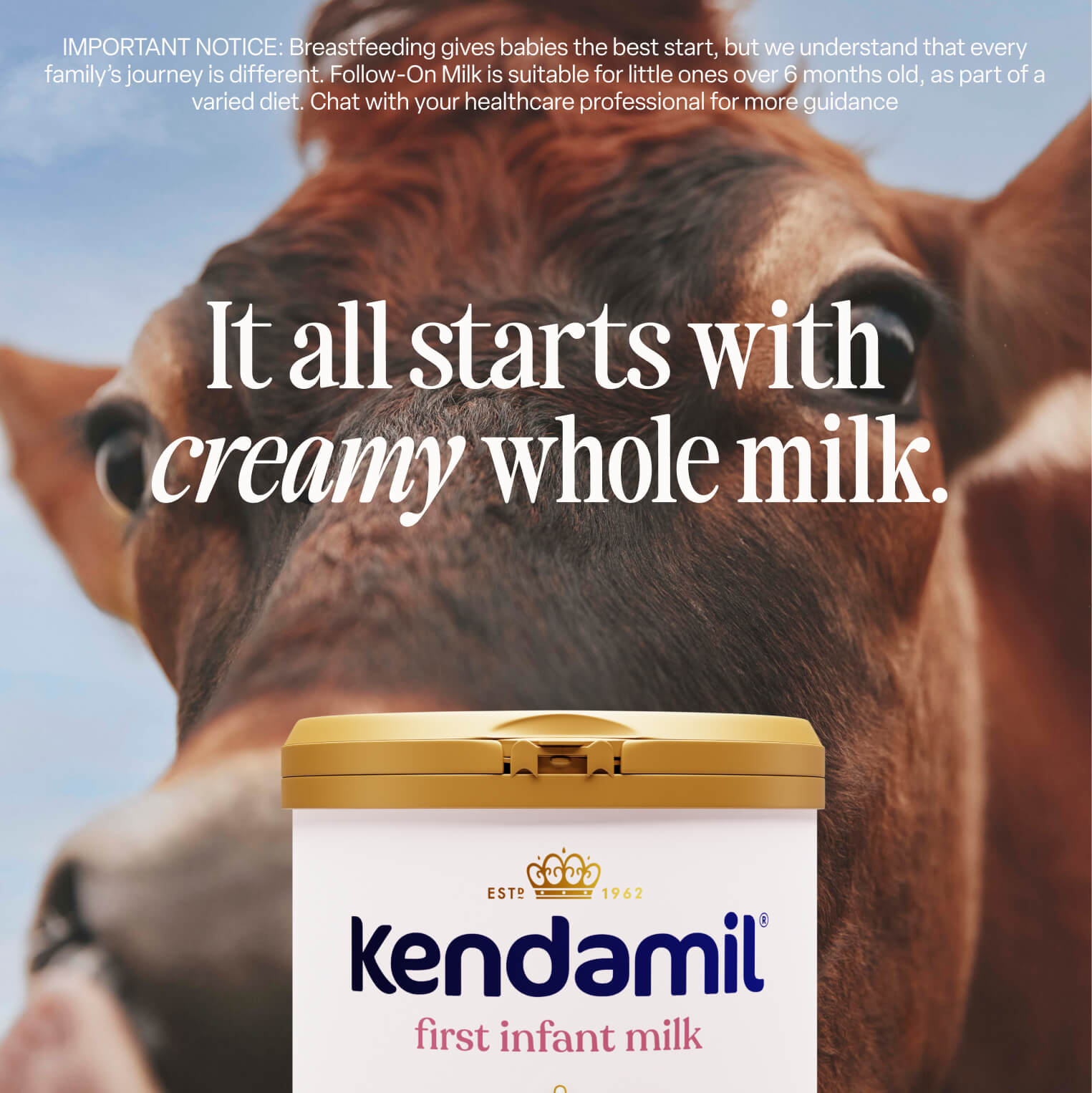 Classic First Infant Milk