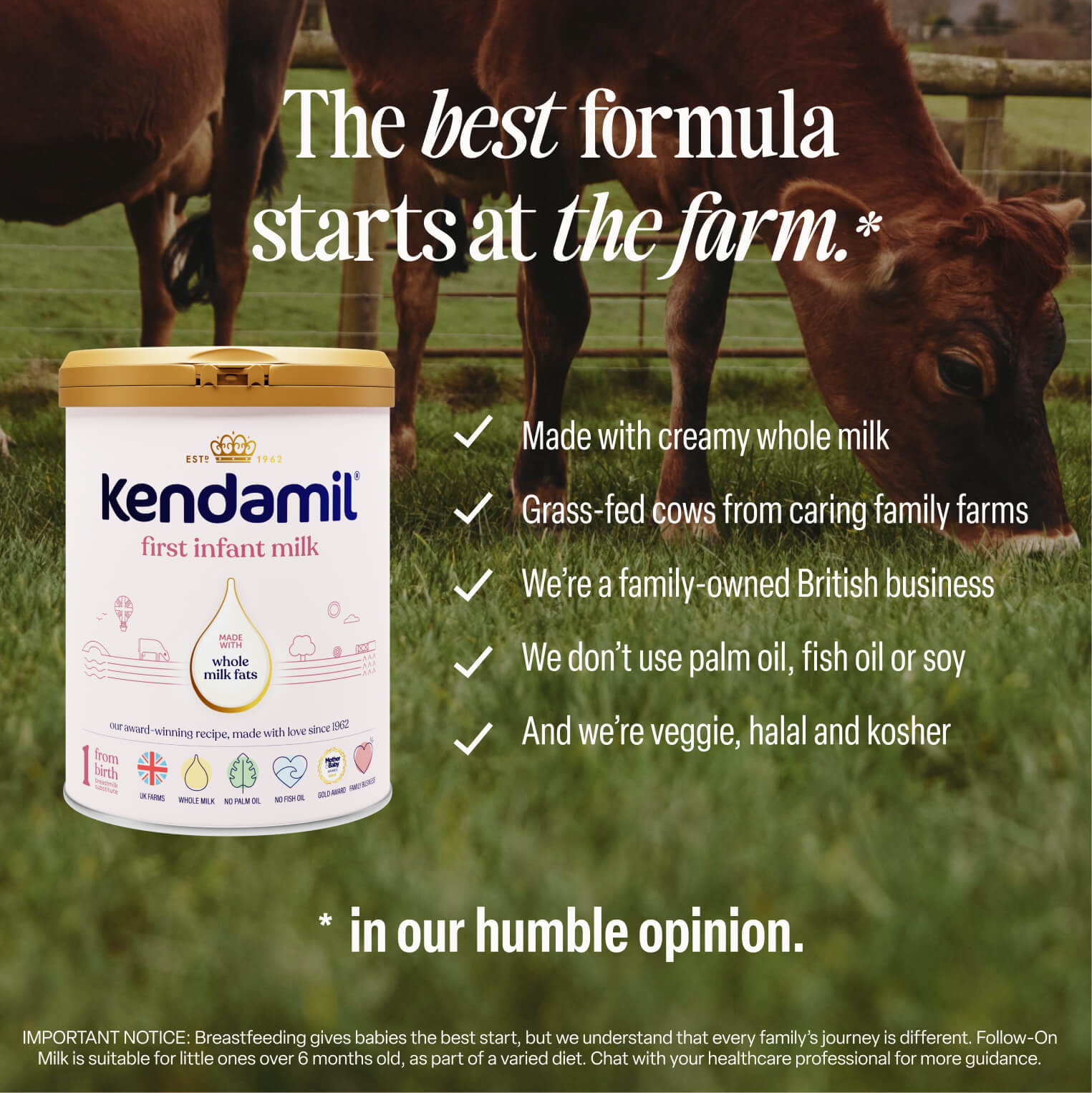 Classic First Infant Milk