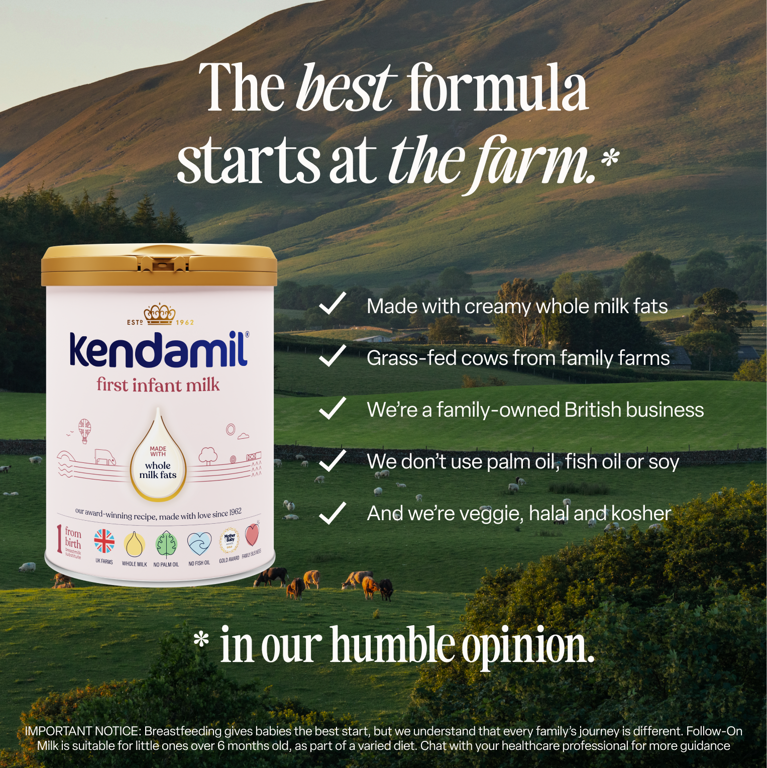 Classic First Infant Milk