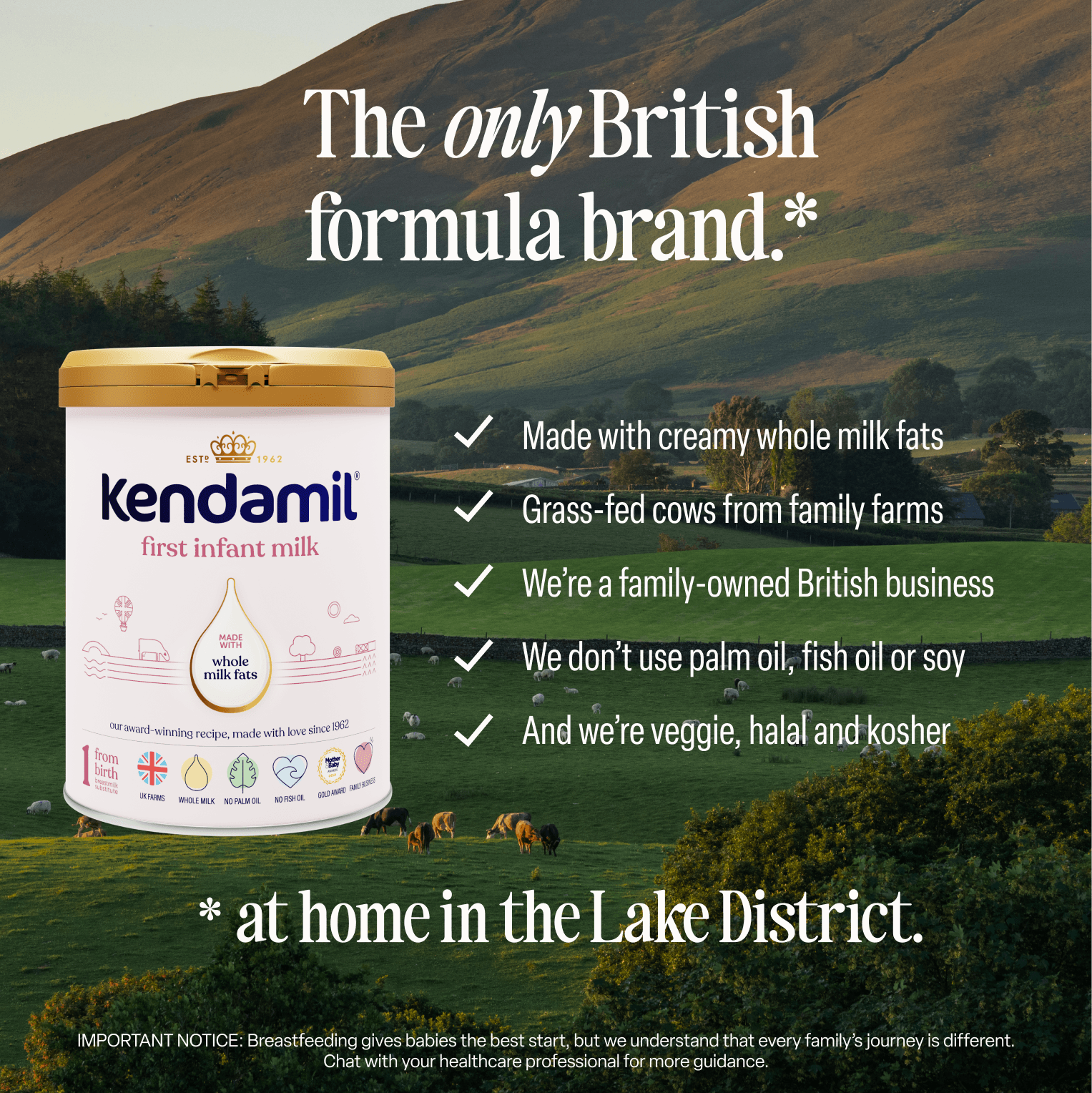 Classic First Infant Milk