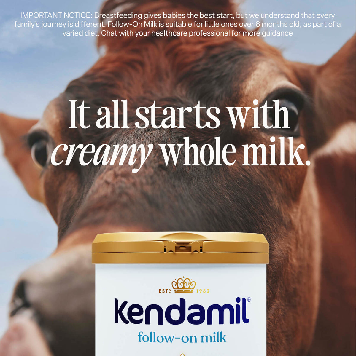 A close-up of a cow with text overlay: It all starts with creamy whole milk from grass-fed cows. Below is a gold-topped container labeled Kendamil Classic Follow-On Milk, with a breastfeeding notice at the top of the image.