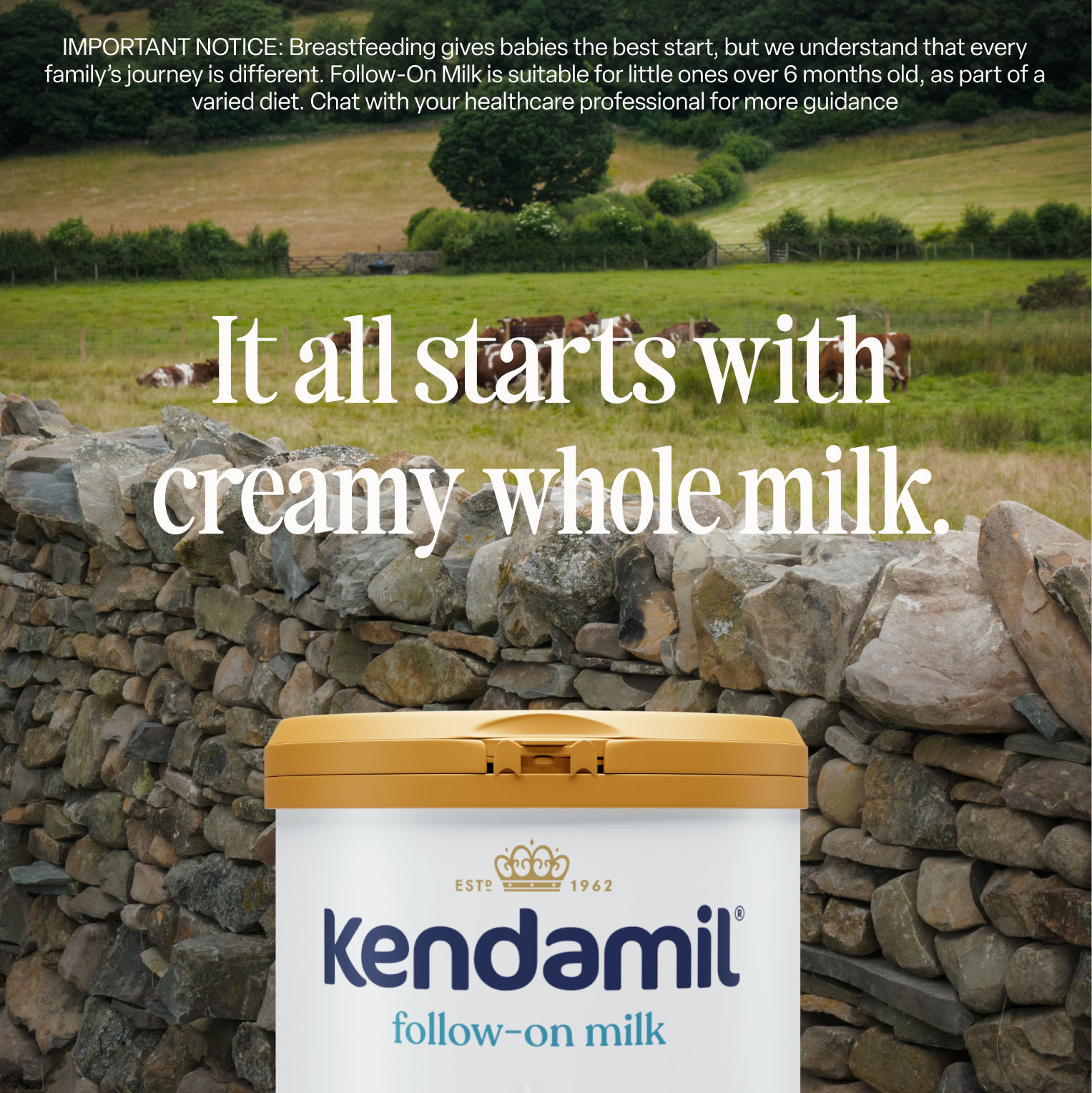 Classic Follow-On Milk