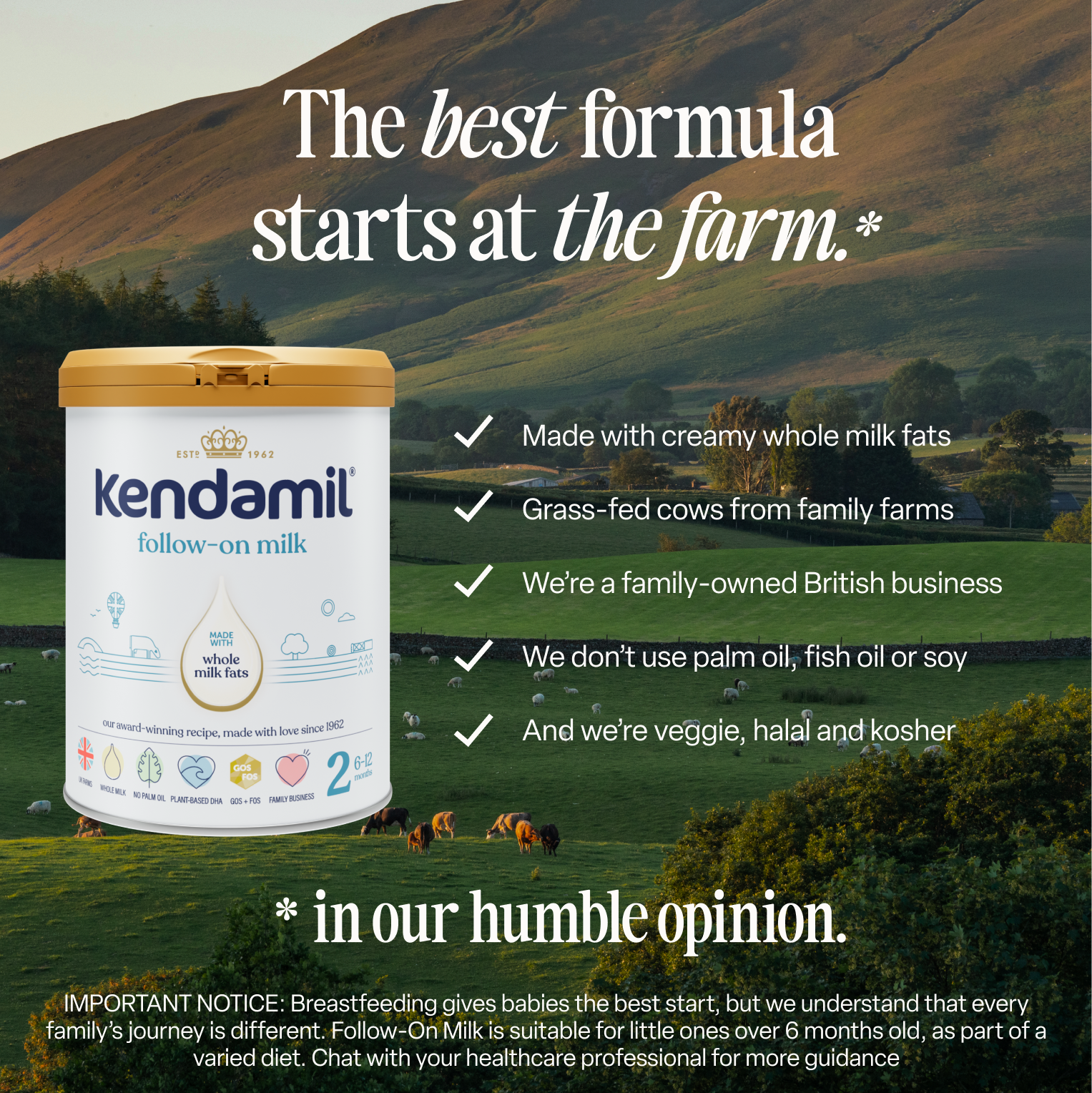 Classic Follow-On Milk