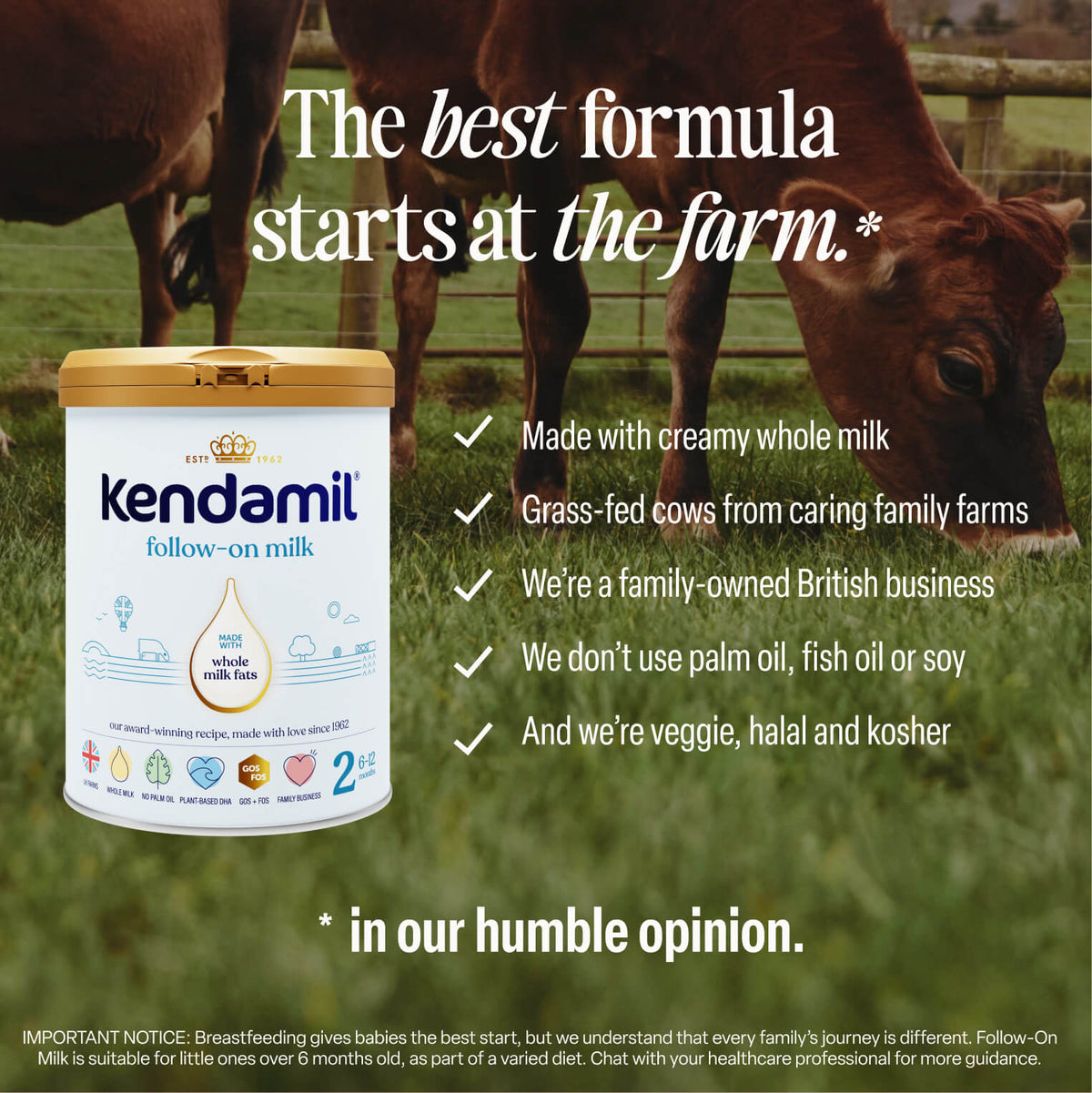 A can of Classic Follow-On Milk sits in front of a cow grazing on grass. Text highlights the product’s benefits, including creamy whole milk formula, grass-fed cows, and that it’s palm oil, fish oil, and soy free. Now with plant-based DHA.