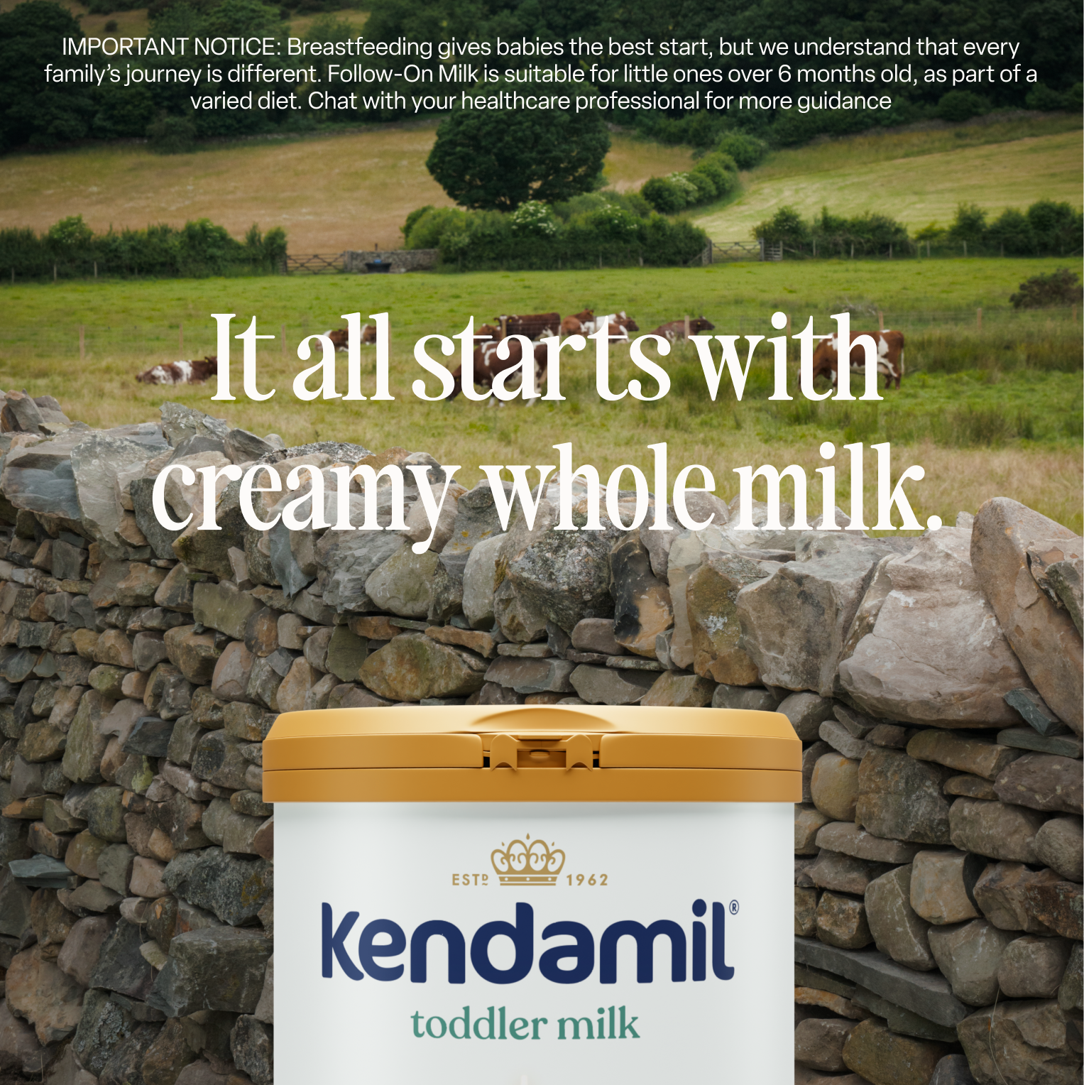 Classic Toddler Milk