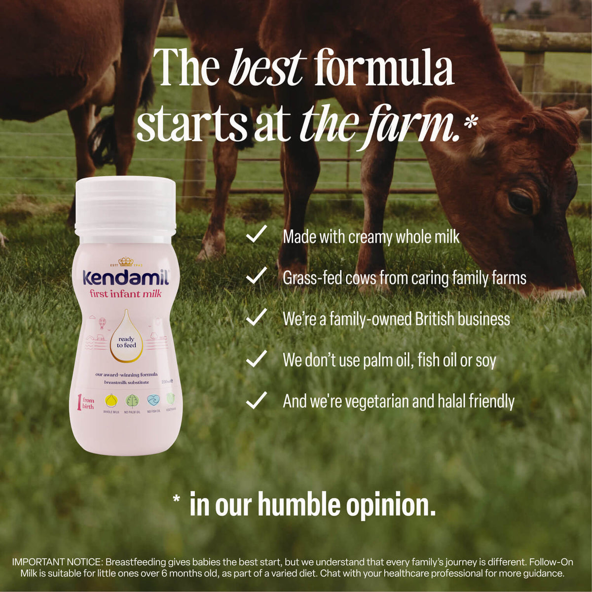 In the foreground sits a bottle of 18x250ml Classic Ready to Feed formula. Behind it, grass-fed cows graze on lush pastures. Text highlights that this Kendamil whole milk infant formula is made with milk from family farms, is vegetarian, ready to feed, and contains no palm oil, fish oil, or soy oil.