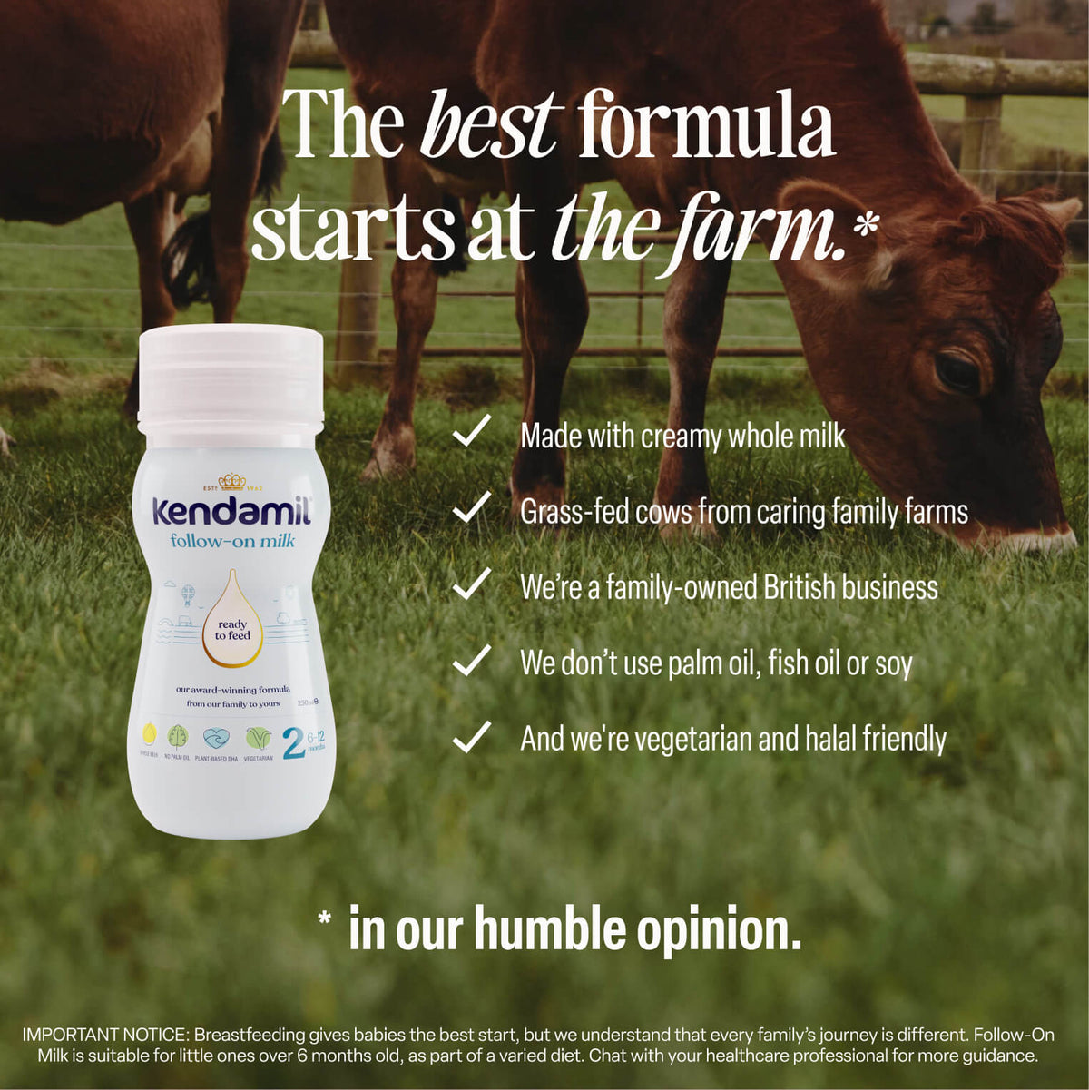 An 18x250ml pack of Classic Follow-On Ready to Feed is displayed in front of grazing grass-fed cows, with text highlighting its creamy whole milk formula, family business origins, vegetarian-friendly and palm oil-free ingredients, and the addition of plant-based DHA.