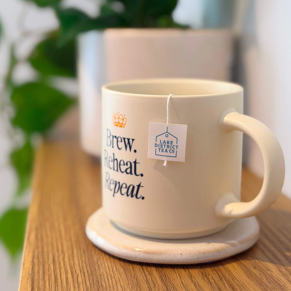 A sturdy “Brew, Reheat, Repeat.” Mug sits on a coaster beside a Lake District Tea Co. teabag, with a blurred plant and another pot visible in the background.