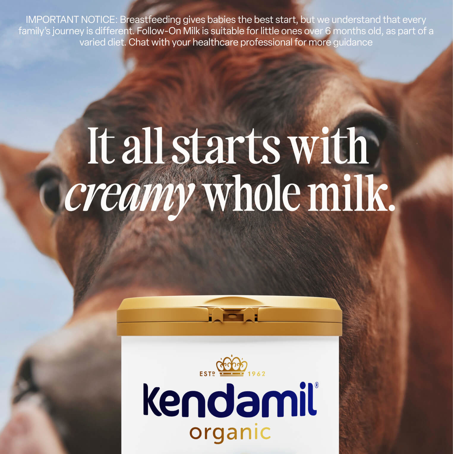 Organic First Infant Milk