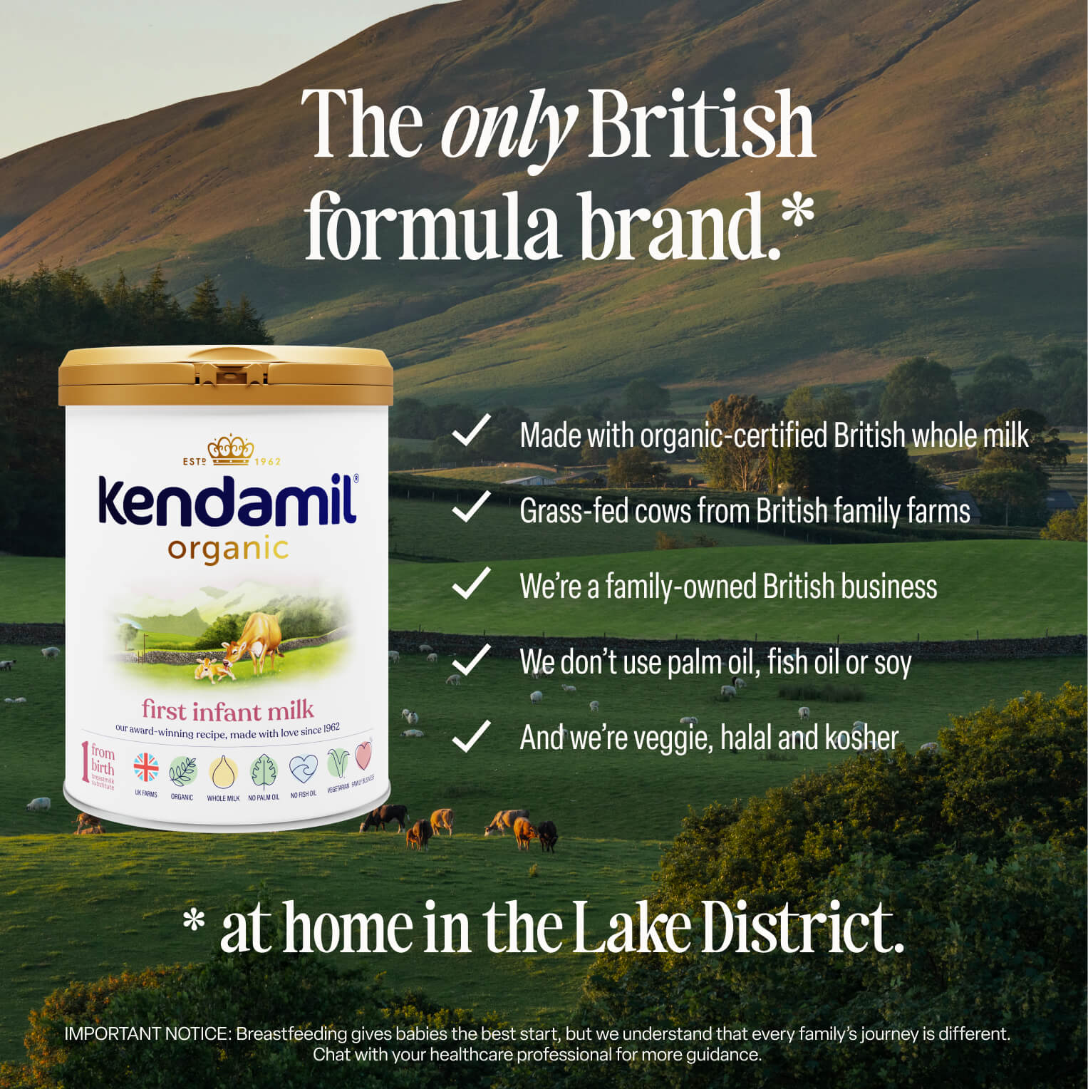 Organic First Infant Milk