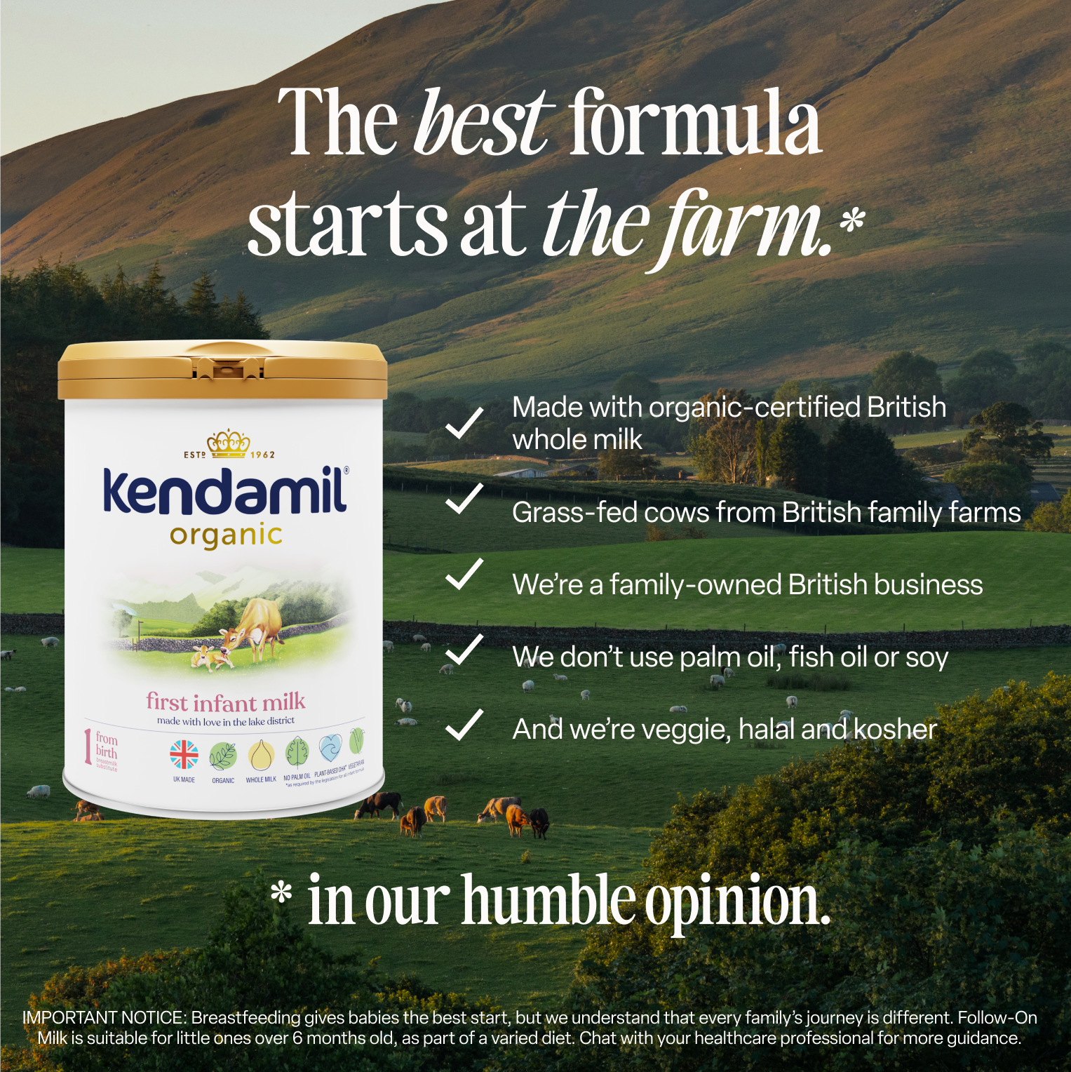 Organic First Infant Milk