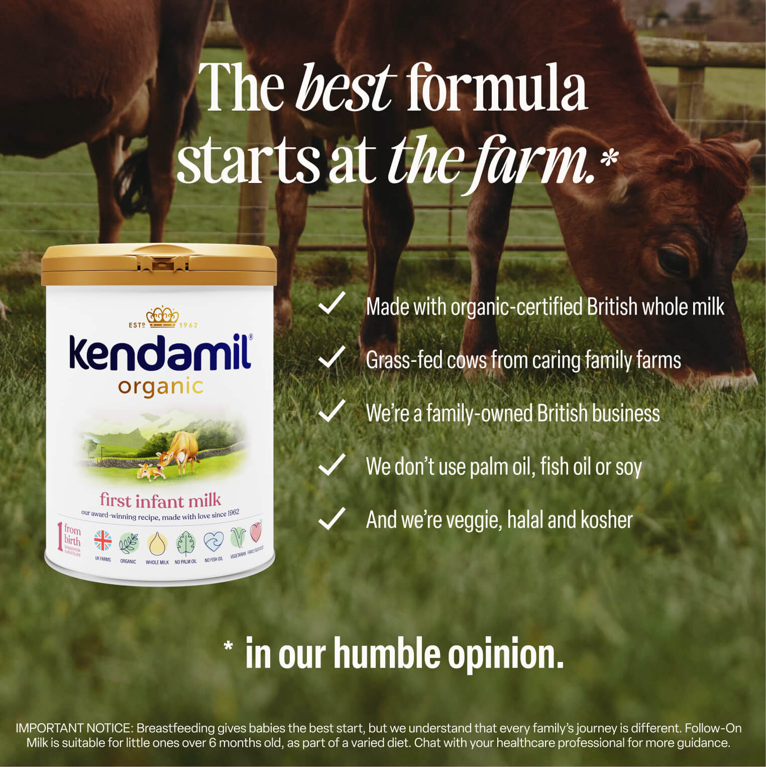 Organic First Infant Milk