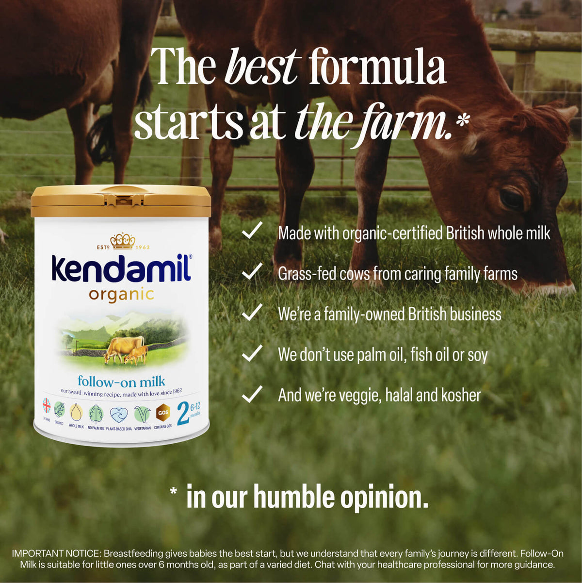 A container of Organic Follow-On Milk is in the foreground with grass-fed cows grazing in a pasture. Text highlights its organic ingredients, whole milk formula, and family-owned British business.