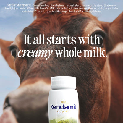 A close-up of a brown cow with a white 6x200ml Organic Ready to Feed First Infant Milk bottle in the foreground. Text reads: It all starts with creamy whole milk from grass-fed cows.