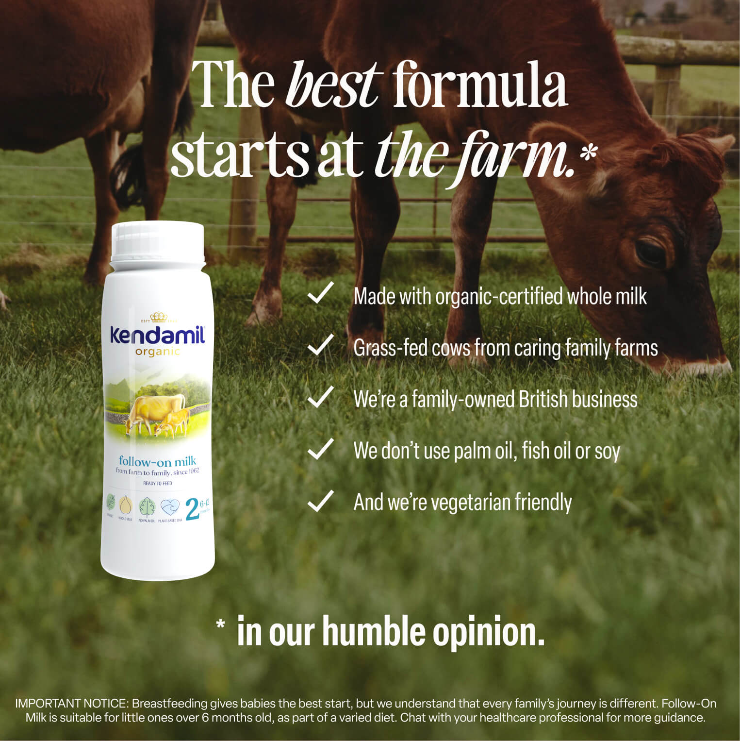 A pack of 6x200ml Organic Ready to Feed Follow On Milk is displayed next to grass-fed cows. The text emphasizes its grass-fed, vegetarian-friendly formula, crafted from organic milk and free from palm oil, with key benefits highlighted. This product comes in convenient ready-to-feed bottles.