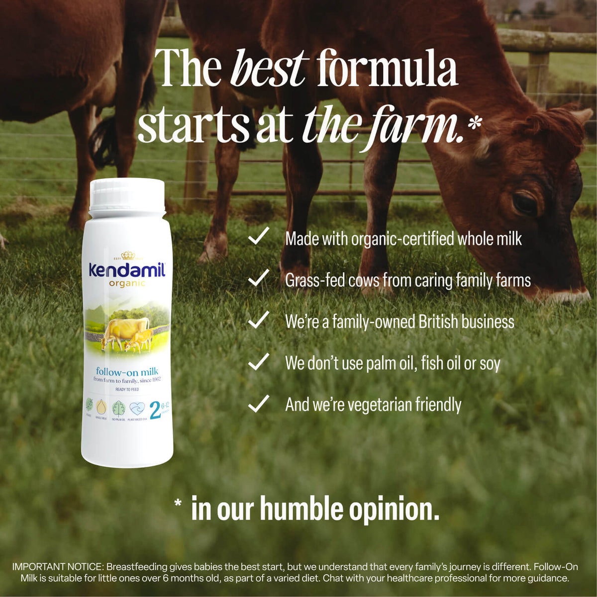 A pack of 6x200ml Organic Ready to Feed Follow On Milk is displayed next to grass-fed cows. The text emphasizes its grass-fed, vegetarian-friendly formula, crafted from organic milk and free from palm oil, with key benefits highlighted. This product comes in convenient ready-to-feed bottles.
