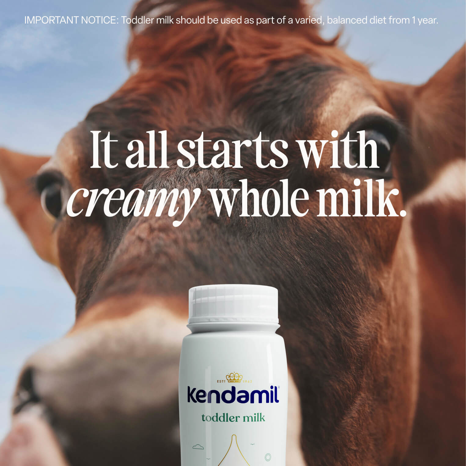 A close-up of a grass-fed cow’s face with the text “It all starts with creamy whole milk” overlaid, and a bottle of 6x200ml Classic Ready to Feed Toddler Milk in the foreground.