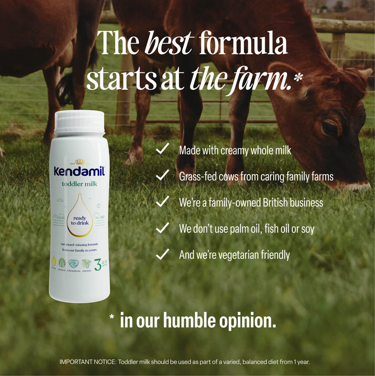 A pack of 6x200ml Classic Ready to Feed Toddler Milk sits in front of grazing cows, with text highlighting its creamy whole milk, grass-fed cows, British family business roots, absence of palm, fish, or soy oils, and a vegetarian-friendly formula.