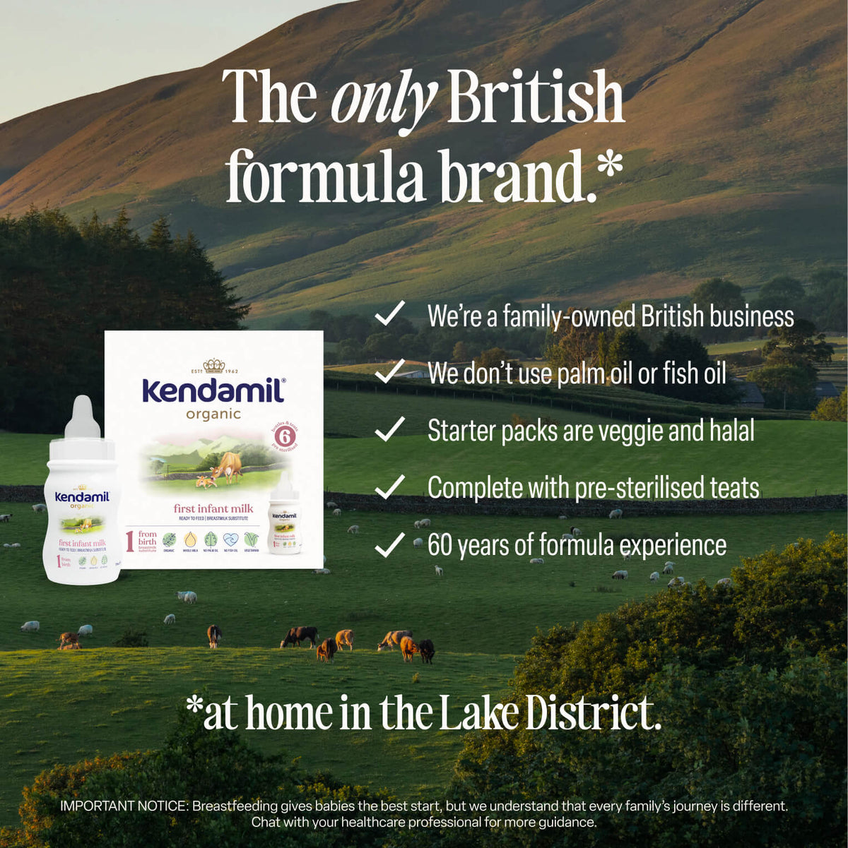 The Organic Ready to Feed First Infant 6x70ml Starter Pack is displayed in front of a scenic Lake District landscape with grazing, grass-fed cows, showcasing its organic whole milk formulation and emphasizing its British, family-owned heritage.