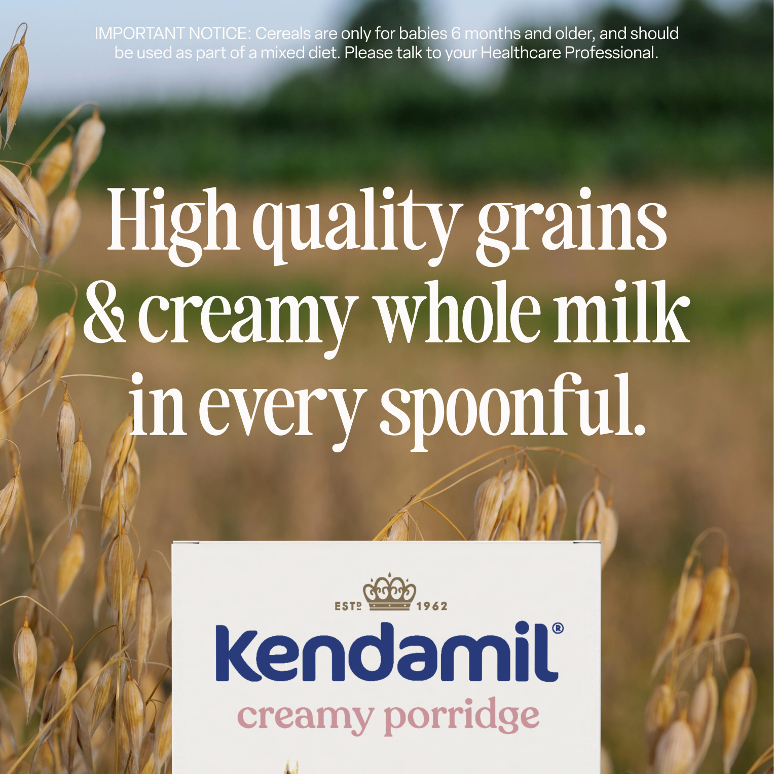 5-Pack Creamy Baby Porridge (6+ months)