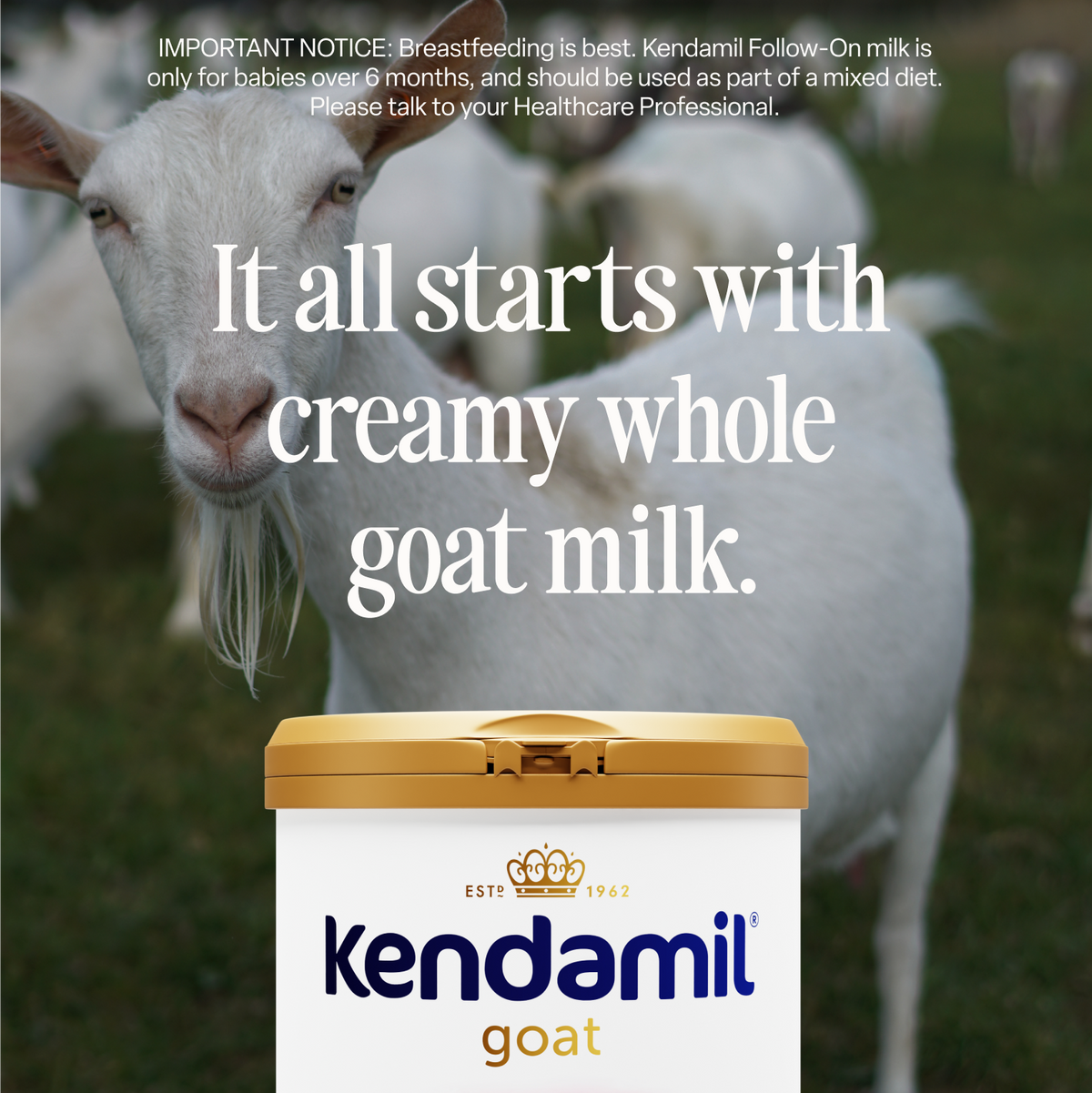 A close-up of a white goat with a Goat First Infant Milk container in front, and text highlighting creamy whole A2 goat milk as the main ingredient.