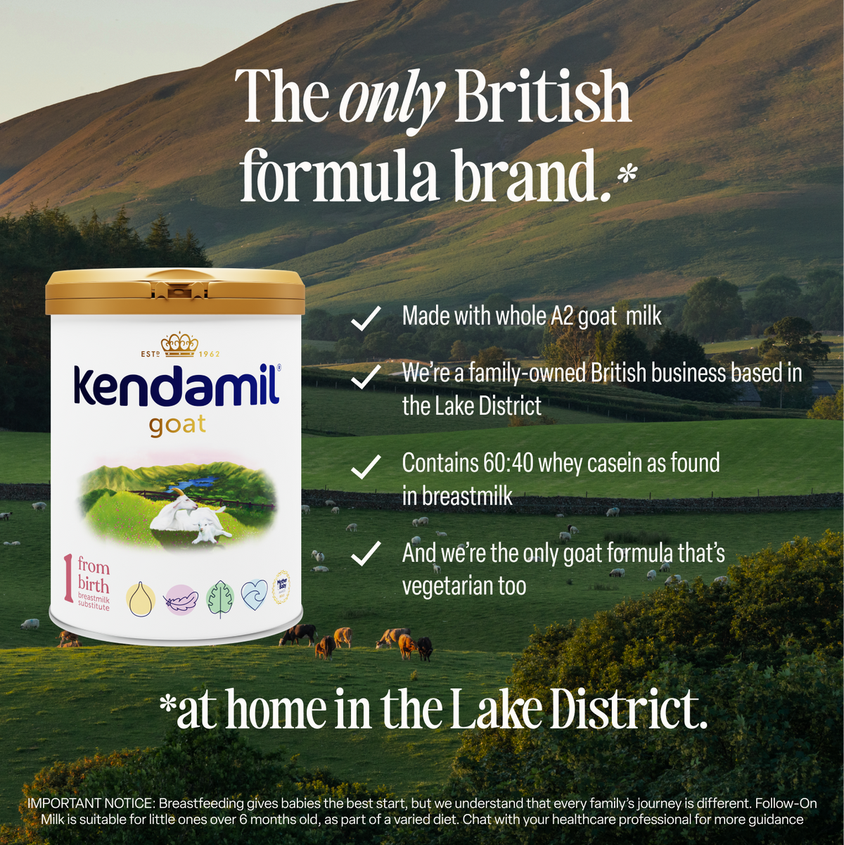 A tin of Goat First Infant Milk is pictured in front of a scenic, grassy Lake District landscape with grazing sheep, promoting its British origin, A2 goat milk, GOS, and vegetarian ingredients.